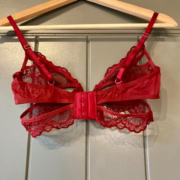 Thistle and Spire Kane V-Wire Bra in Ruby - Picture 4 of 5